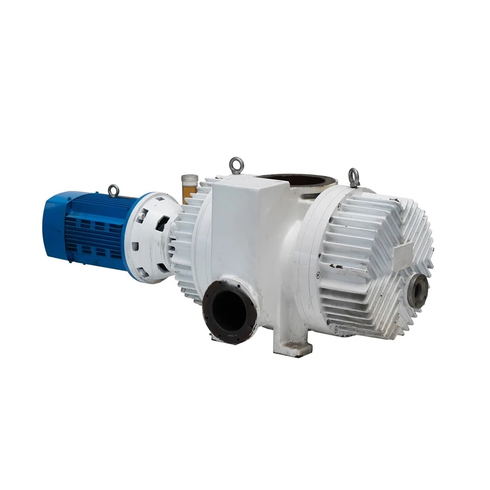 Roots Vacuum Pump